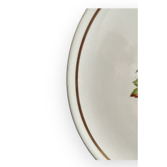 Vintage Conrad Crafters Wheeling WV. 1776-1976 3 dessert fruit plates - Picture 8 of 9